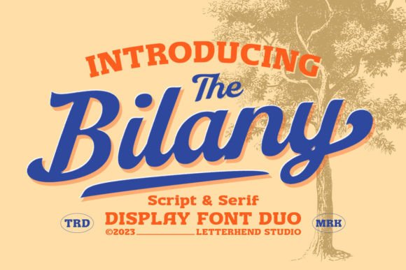 The Bilany: A Designer’s Go-To Font Duo for Vintage-Inspired Branding